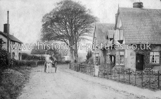 The Village, Lt Bardfield, Essex. c.1915